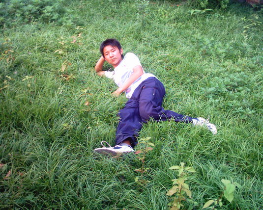 2006  (6)